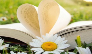 十句对不起句句戳心 有关对不起的句子