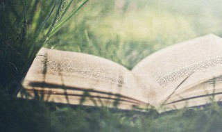 描写泉水的词语有哪些 写泉水的词语