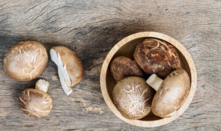 香菇要泡多久 香菇要泡多久的解析