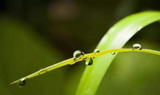 形容秋雨的句子 关于形容秋雨的句子