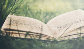 描写母亲外貌的句子 描写妈妈外貌的优美句子