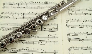 描写音乐的优美句子 描写音乐的优美句子有哪些