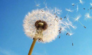 表达完美结束的句子 表达完美结束的句子列述