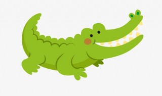 鳄鱼为什么会流泪 鳄鱼为什么会流泪解释