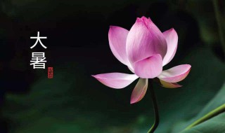 夏天的特点有哪些 夏天的特点介绍