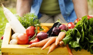 吃什么减肥快 减肥快的食物简述