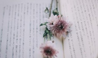 朋友圈个性签名简短 朋友圈个性签名推荐