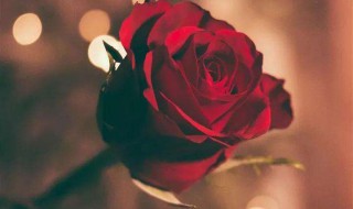 简短暖心话 听完让人心暖