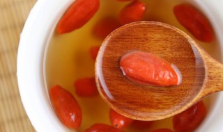 枸杞茶怎么泡 泡枸杞茶的方法