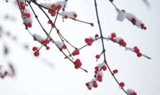 瑞雪是什么时候的雪 瑞雪是冬季的降雪