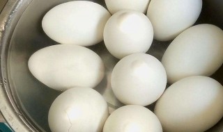 鹅蛋怎么保存 鹅蛋保存的方法