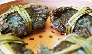 盐水煮大闸蟹的方法 需要煮多久呢