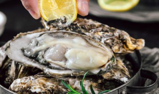 生蚝蒸多久才熟 蒸生蚝的简介