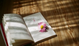 一什么什么什么的成语 一什么什么什么的成语精选