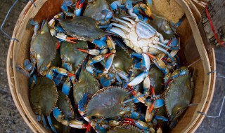 活螃蟹能放多久 买的活螃蟹保存多少天