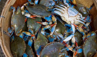 螃蟹的处理干净方法 螃蟹的处理干净方法简述