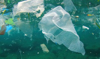 白色污染的意思 白色污染的简介