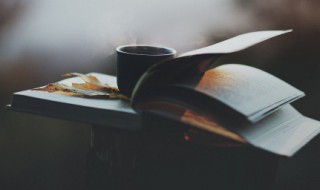 感受阳光唯美句子 阳光的唯美句子集锦