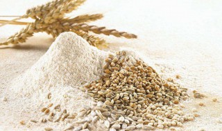 燕麦粉的自磨方法 燕麦粉的自磨方法是什么