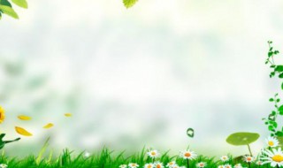 个人自述范文简短 个人自述范文全文