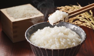 电饭煲柴火饭什么意思 柴火饭好吗