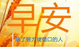 迎接美好的一天句子 迎接美好的一天句子分享