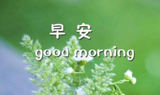 每日早起激励自己的话 每日早起激励自己的话分享