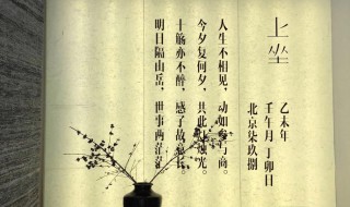 每日一句心情语录 每日一句心情语录分享