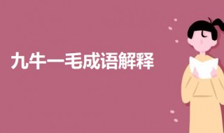 什么牛什么毛成语 九牛一毛成语解释