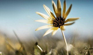 敬自己的句子 适合敬自己的说说