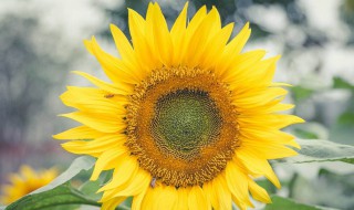 个性签名霸气简短 个性签名霸气简短句子有哪些