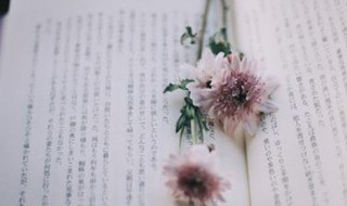 跳绳加油稿简短 跳绳加油稿范文