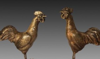 风水鸡摆放位置 风水鸡如何摆放