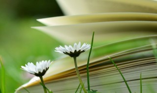 一段很长很暖心的说说 一段很长很暖心的情话有什么