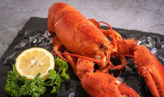 做芝士龙虾正确方法 做芝士龙虾正确方法简述