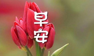 2020年早上好问候语 2020早上好问候语及祝福语