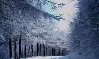 冬天第一场雪伤感文案 关于初雪的文案