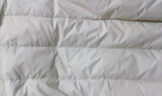 怎么洗羽绒服上的油渍 羽绒服染上油渍怎么洗