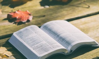 思颖这个名字的含义 思颖这个名字的含义是什么