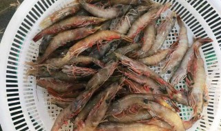鲜虾短期保存方法 新鲜虾如何保存
