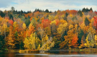 描写秋天优美短句 秋天意味着丰收