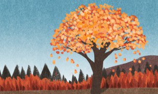 秋天发朋友圈怎么说 秋天发朋友圈的说说列述