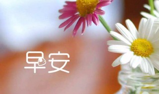 最新正能量简短早安语 最新正能量简短早安语分享