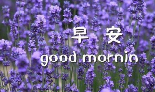 很温馨的早安问候短语 很温馨的早安问候短语分享