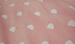 去除床上跳蚤方法 去除跳蚤的方法