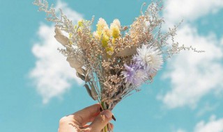 淡然安静朴素的网名 淡然安静朴素的网名大全