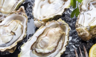 生蚝不吃怎么保存 生蚝不吃的保存方法