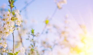 充满正能量的句子简短 充满正能量的句子简短列述