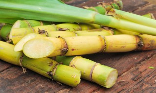 削好的甘蔗怎么保存 有什么保存的方式呢