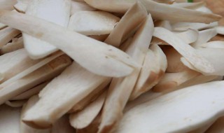 杏鲍菇怎么洗 杏鲍菇的洗法